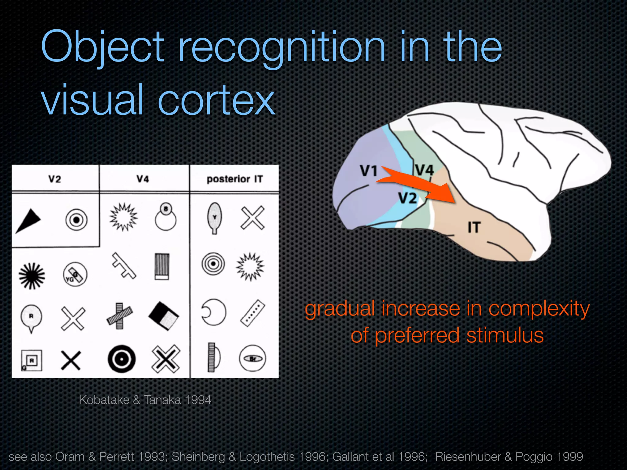 Mechanisms of bottom-up and top-down processing in visual perception