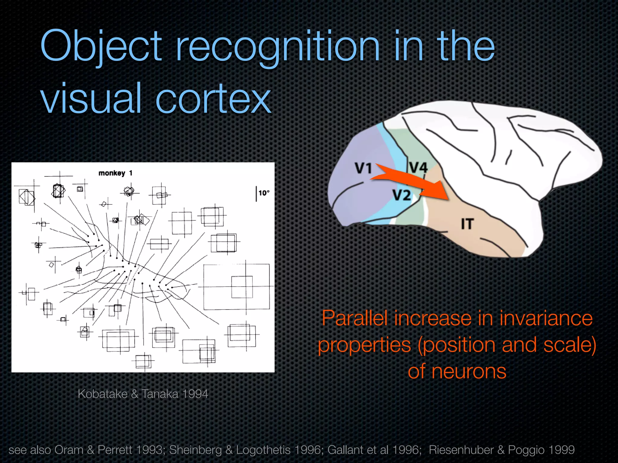 Mechanisms of bottom-up and top-down processing in visual perception