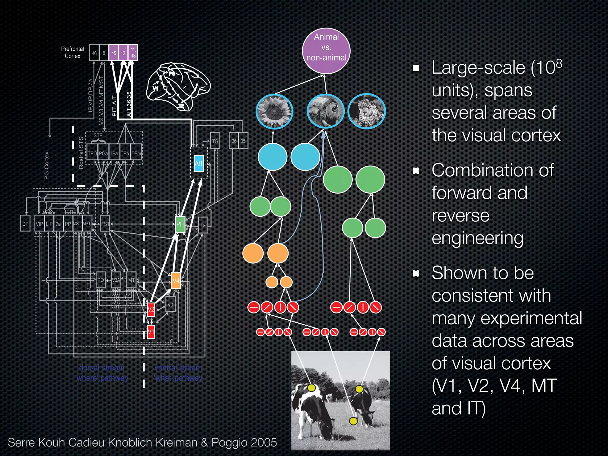 Mechanisms of bottom-up and top-down processing in visual perception