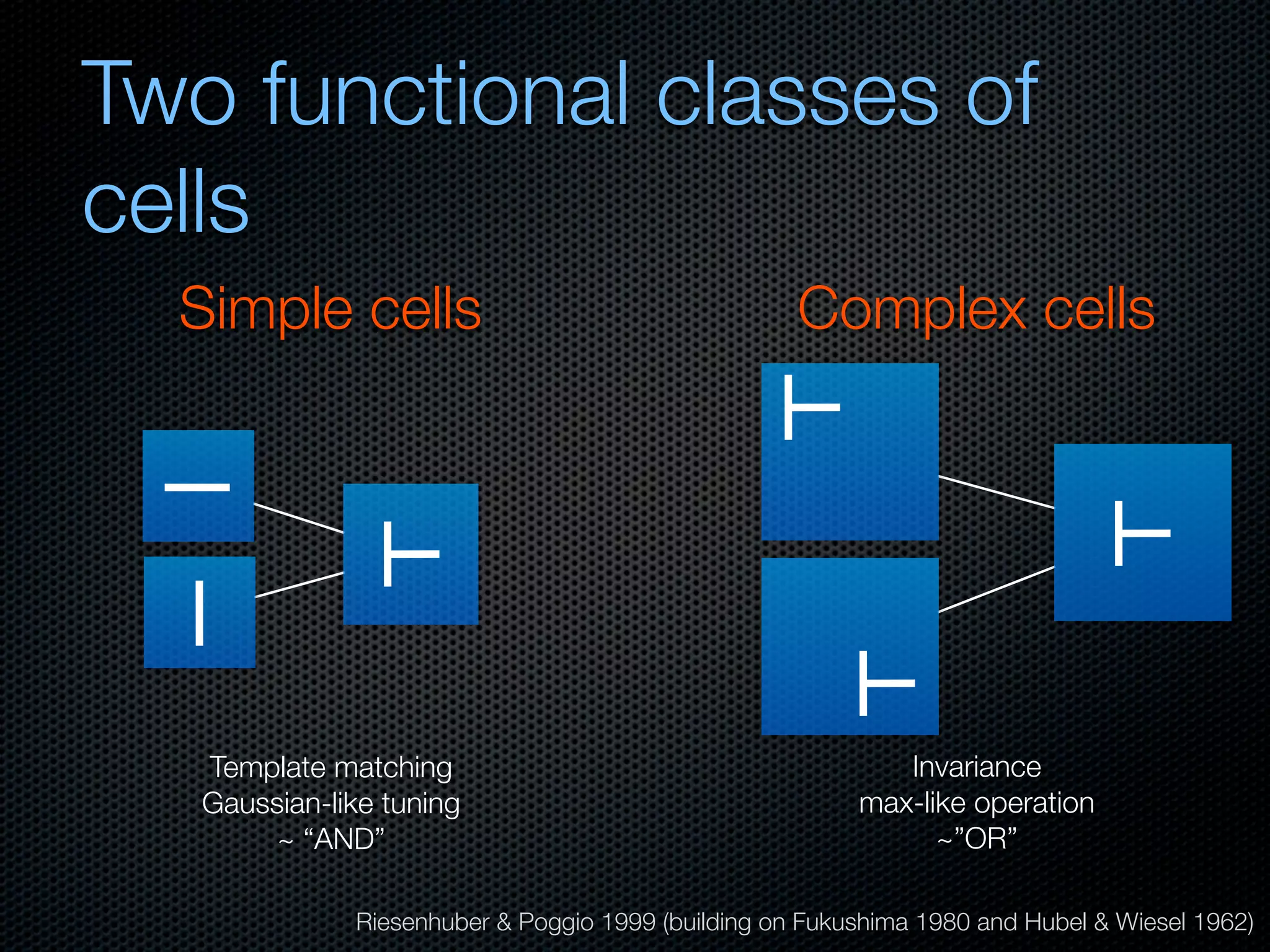 Mechanisms of bottom-up and top-down processing in visual perception