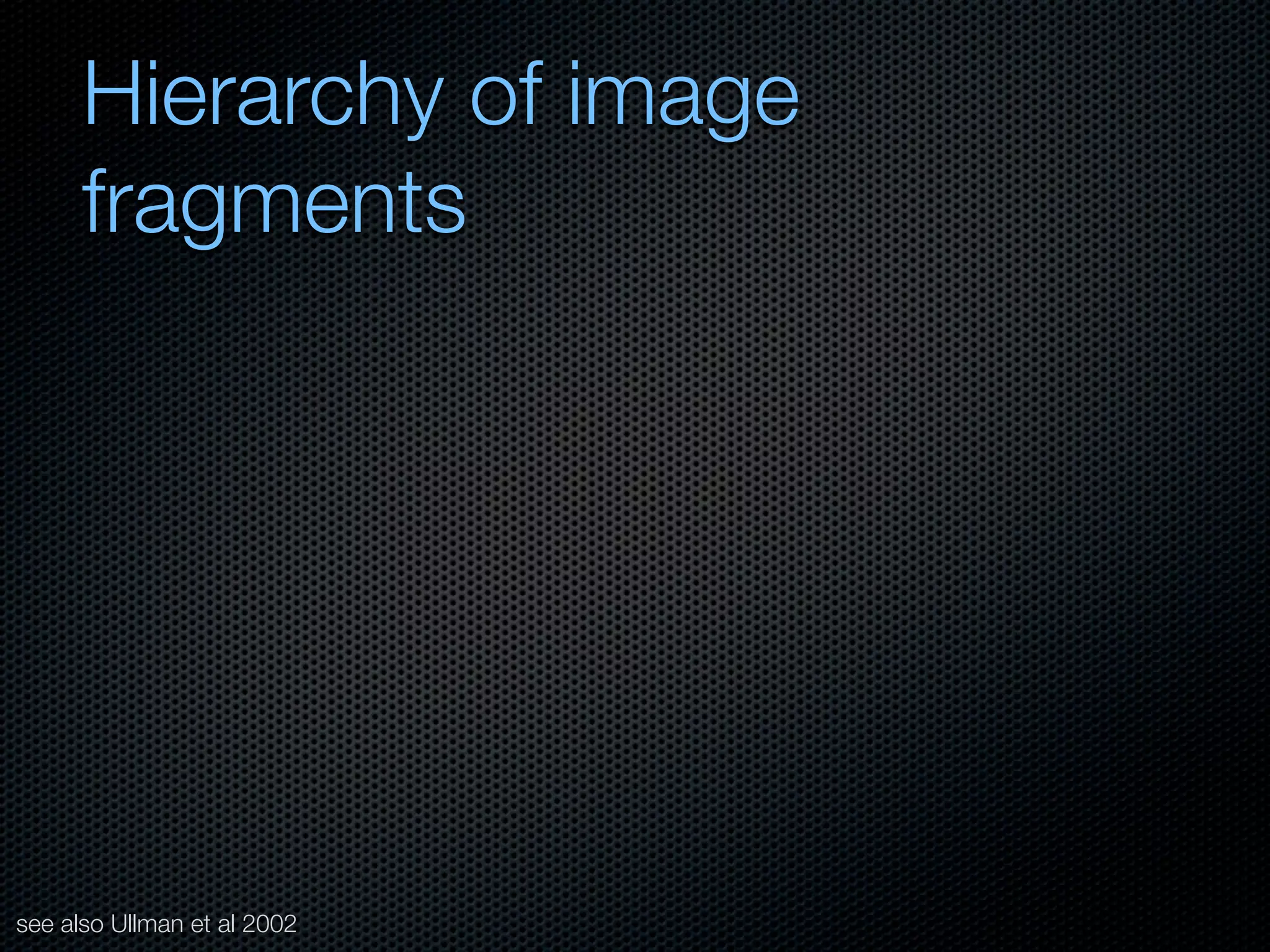 Mechanisms of bottom-up and top-down processing in visual perception