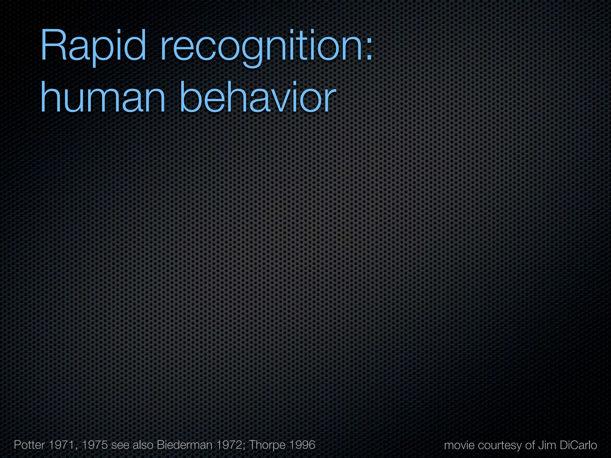 Mechanisms of bottom-up and top-down processing in visual perception