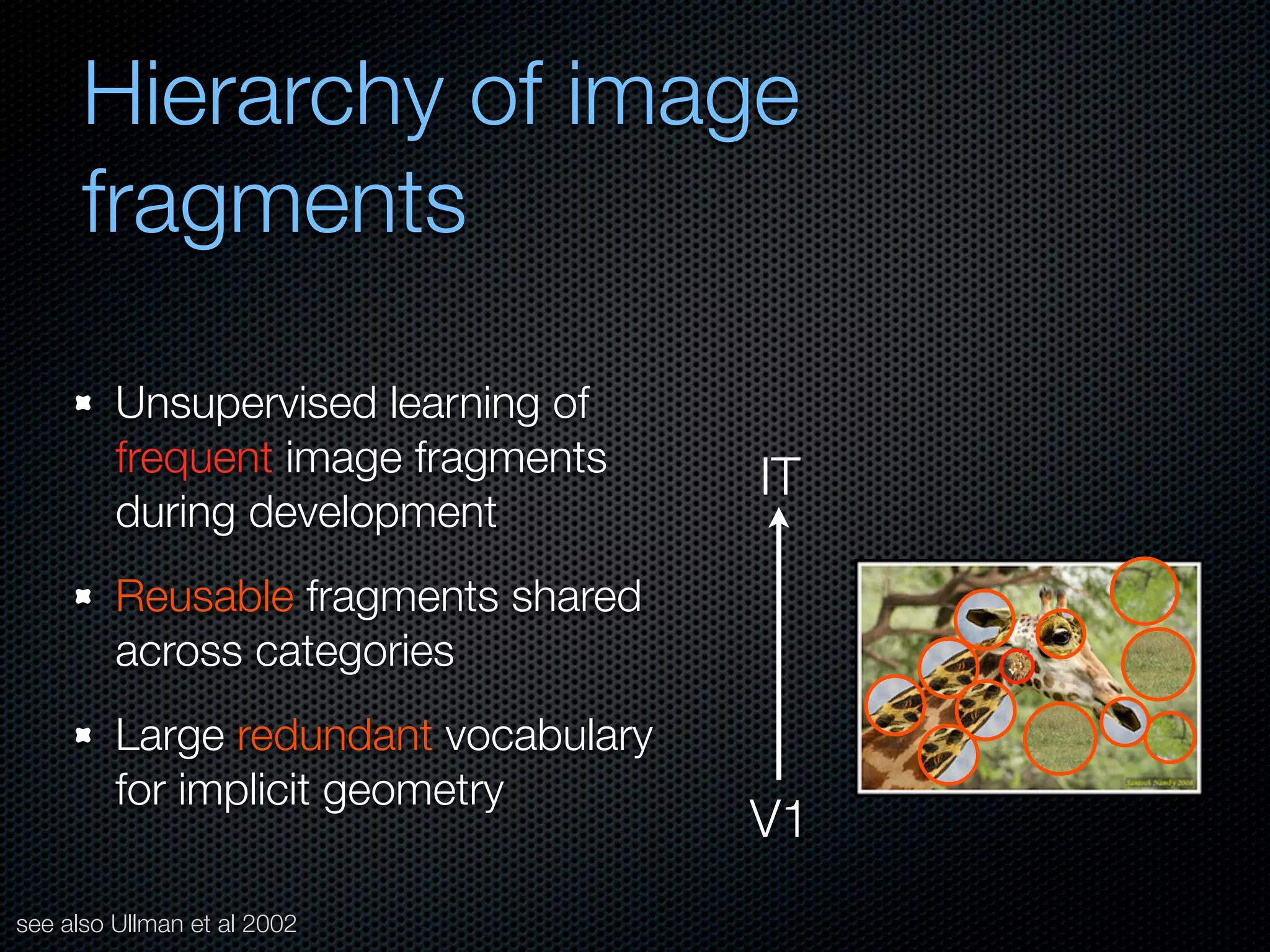 Mechanisms of bottom-up and top-down processing in visual perception