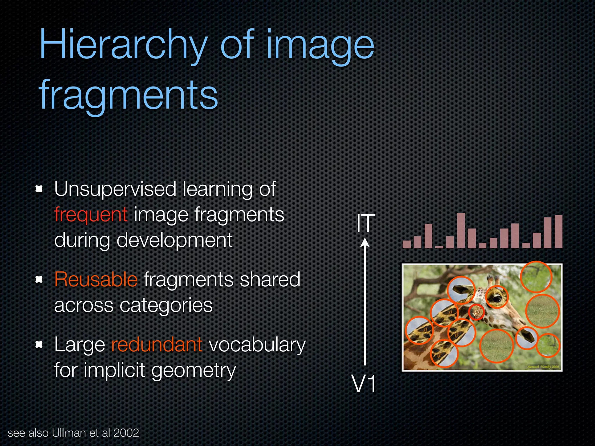 Mechanisms of bottom-up and top-down processing in visual perception