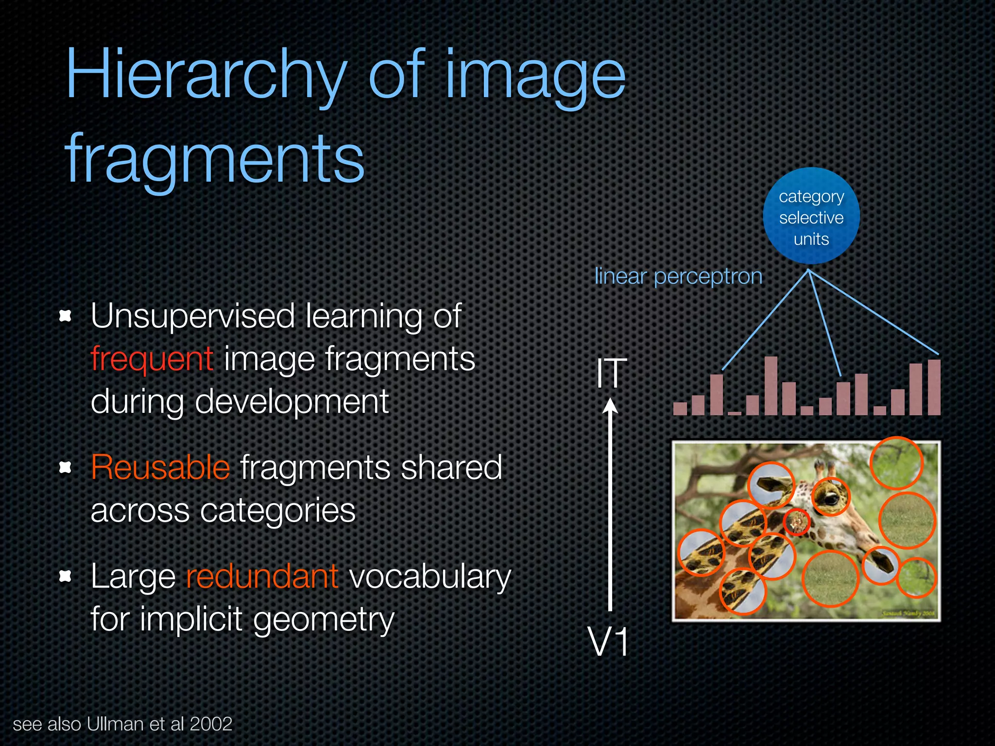 Mechanisms of bottom-up and top-down processing in visual perception
