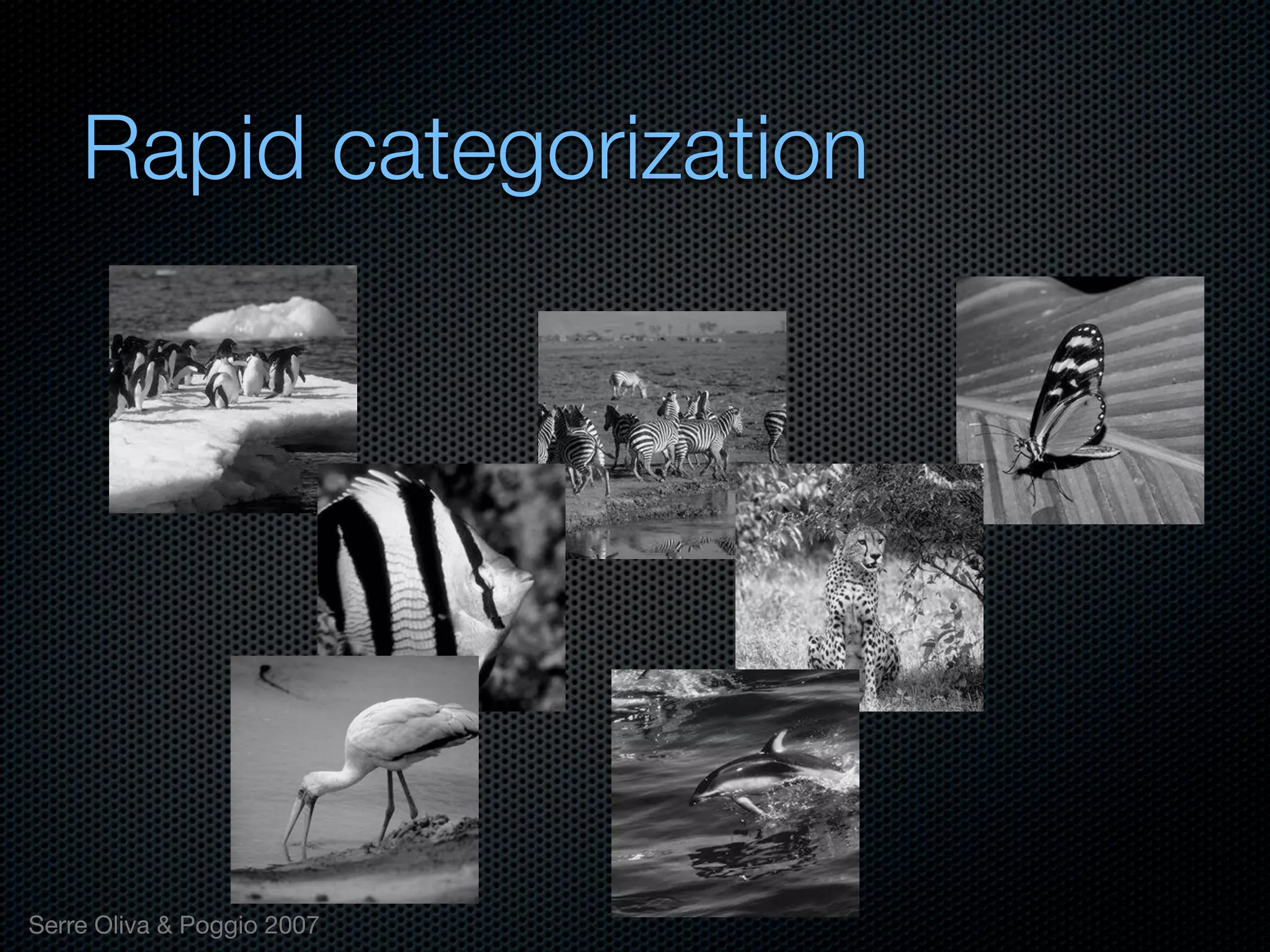 Mechanisms of bottom-up and top-down processing in visual perception