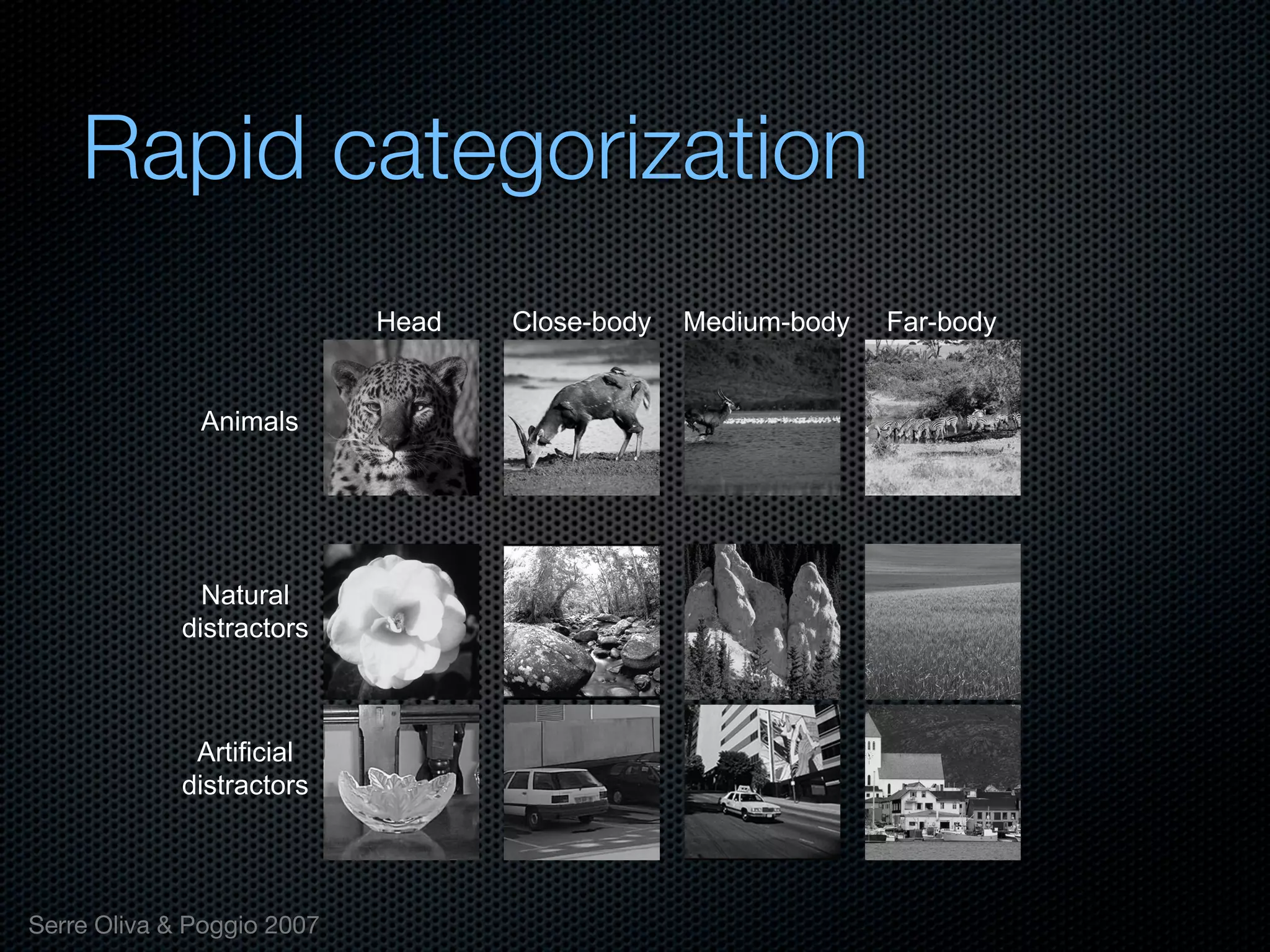 Mechanisms of bottom-up and top-down processing in visual perception