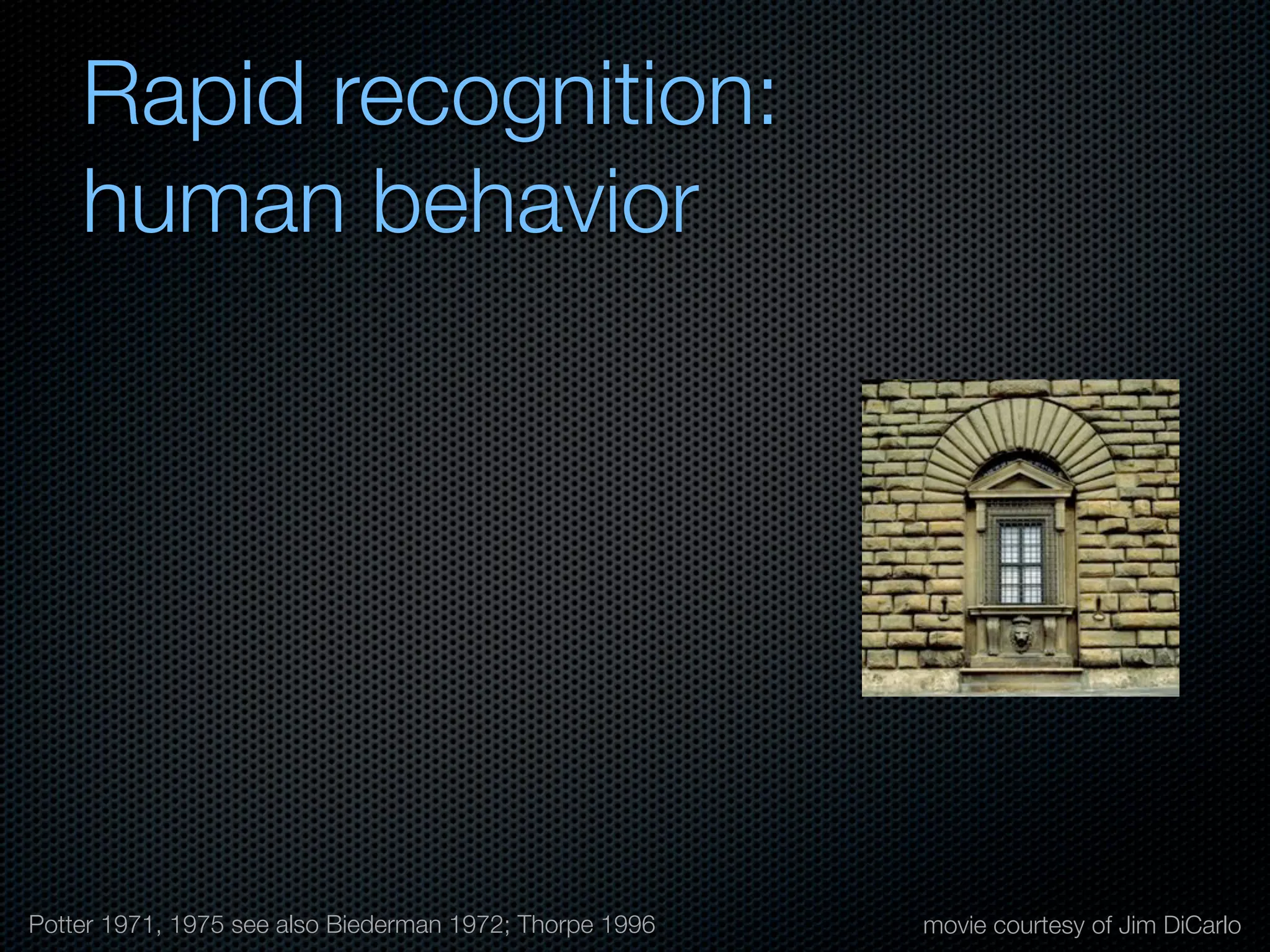 Mechanisms of bottom-up and top-down processing in visual perception