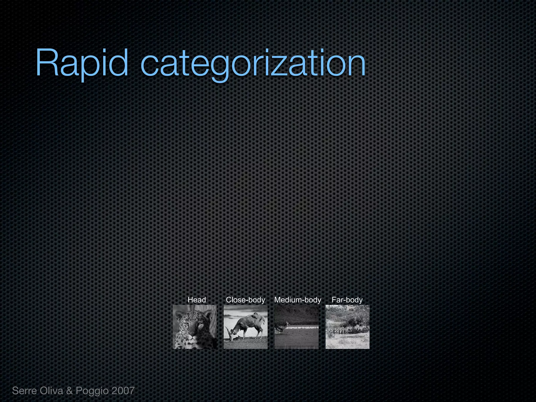 Mechanisms of bottom-up and top-down processing in visual perception
