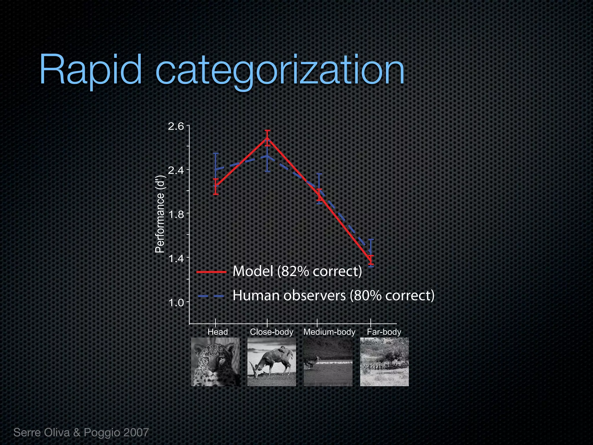 Mechanisms of bottom-up and top-down processing in visual perception