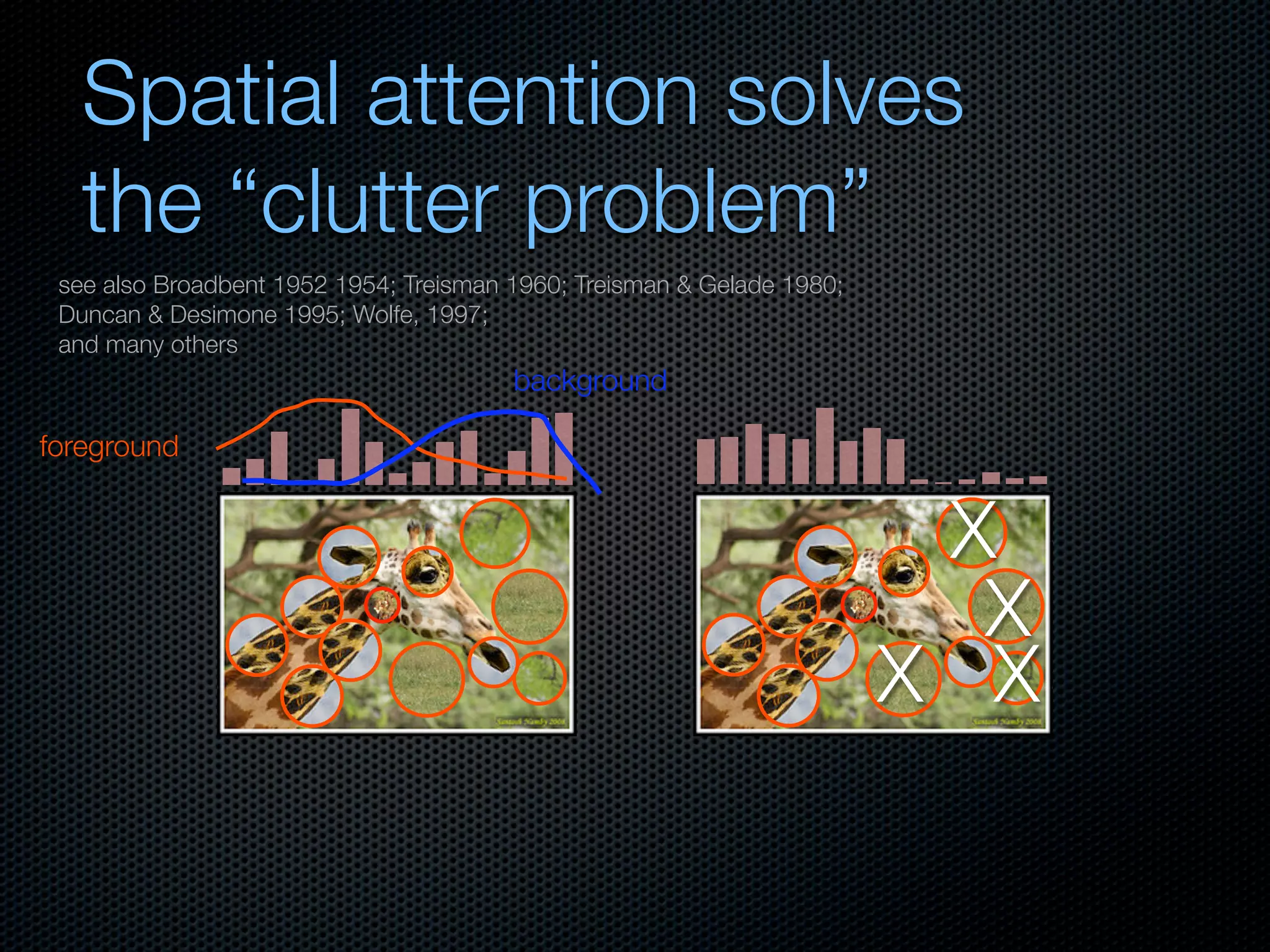 Mechanisms of bottom-up and top-down processing in visual perception