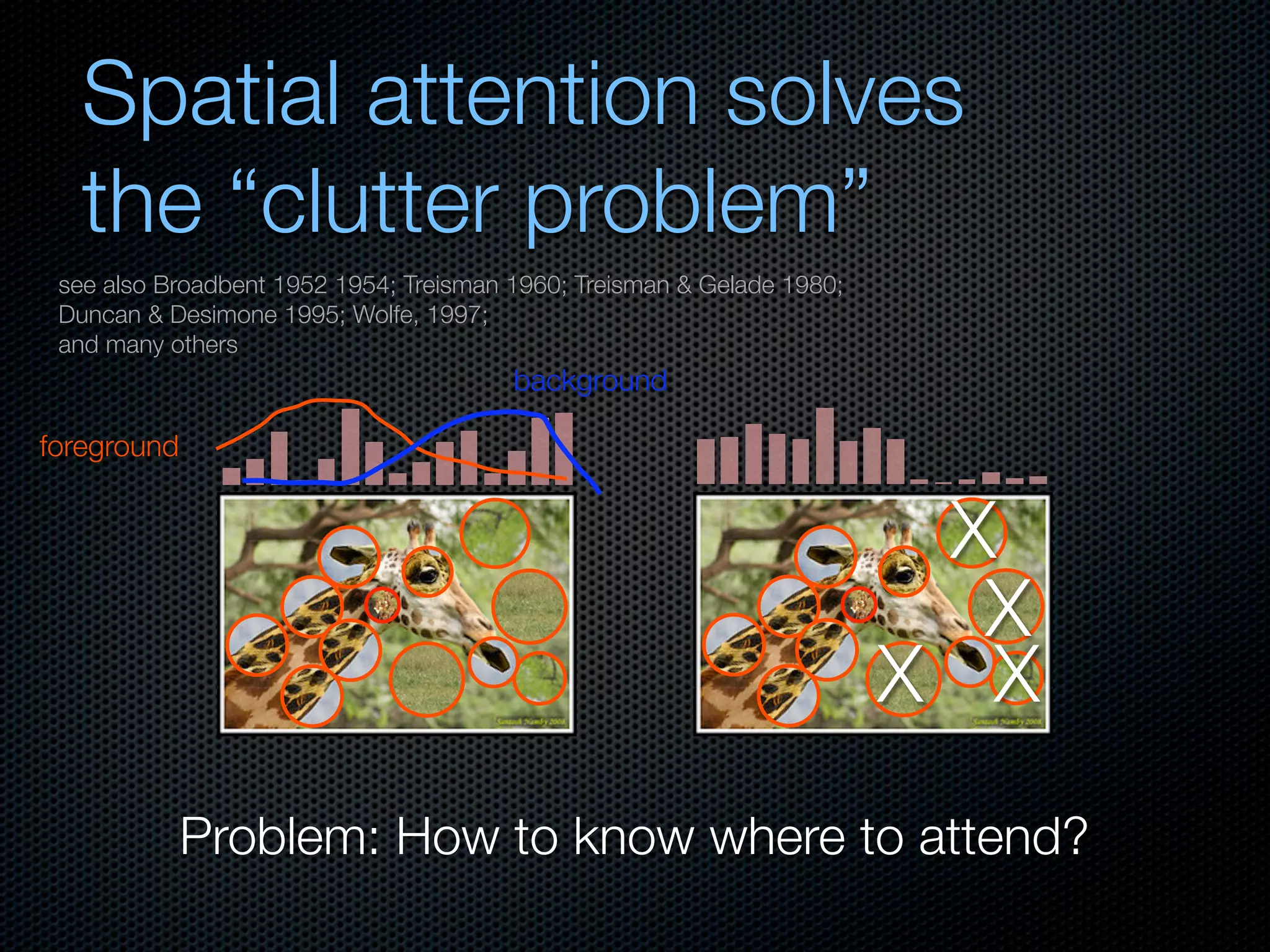 Mechanisms of bottom-up and top-down processing in visual perception