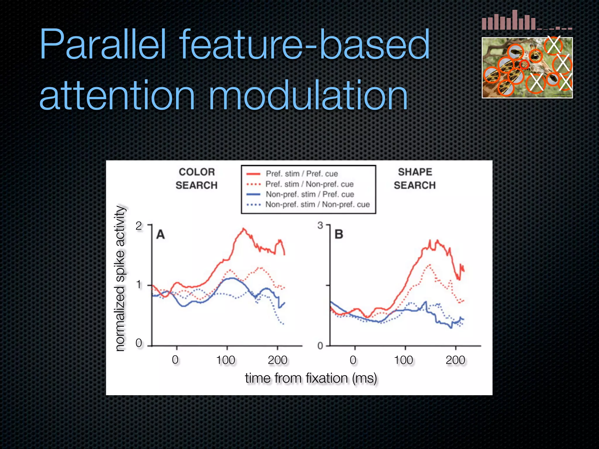 Mechanisms of bottom-up and top-down processing in visual perception
