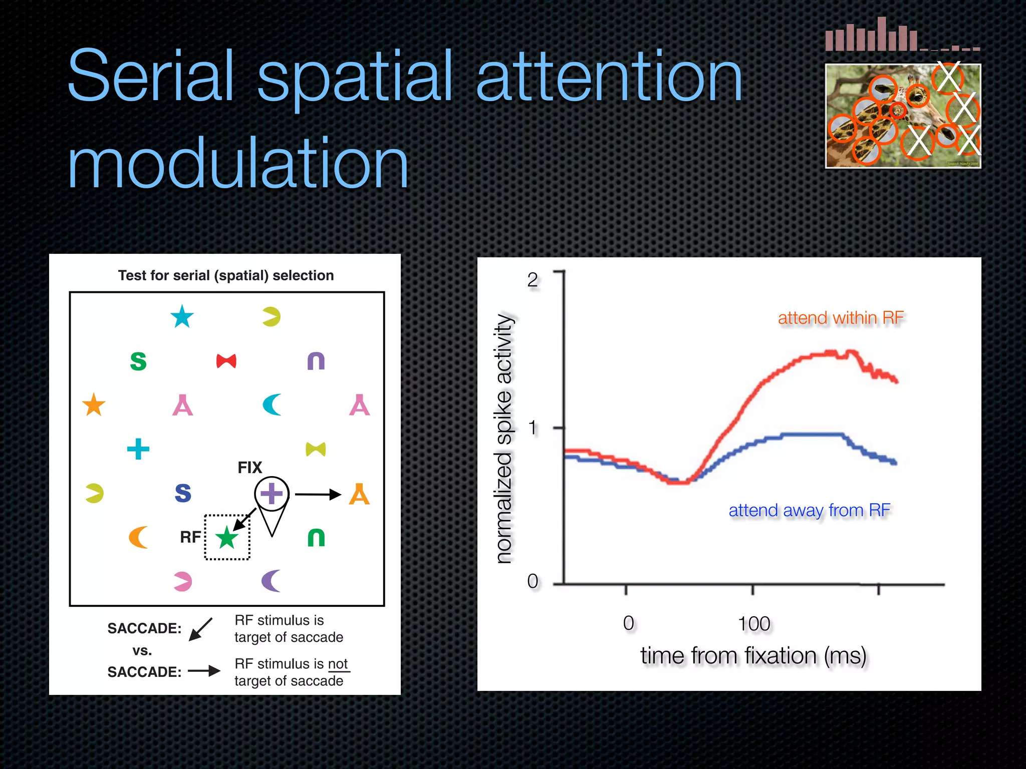 Mechanisms of bottom-up and top-down processing in visual perception
