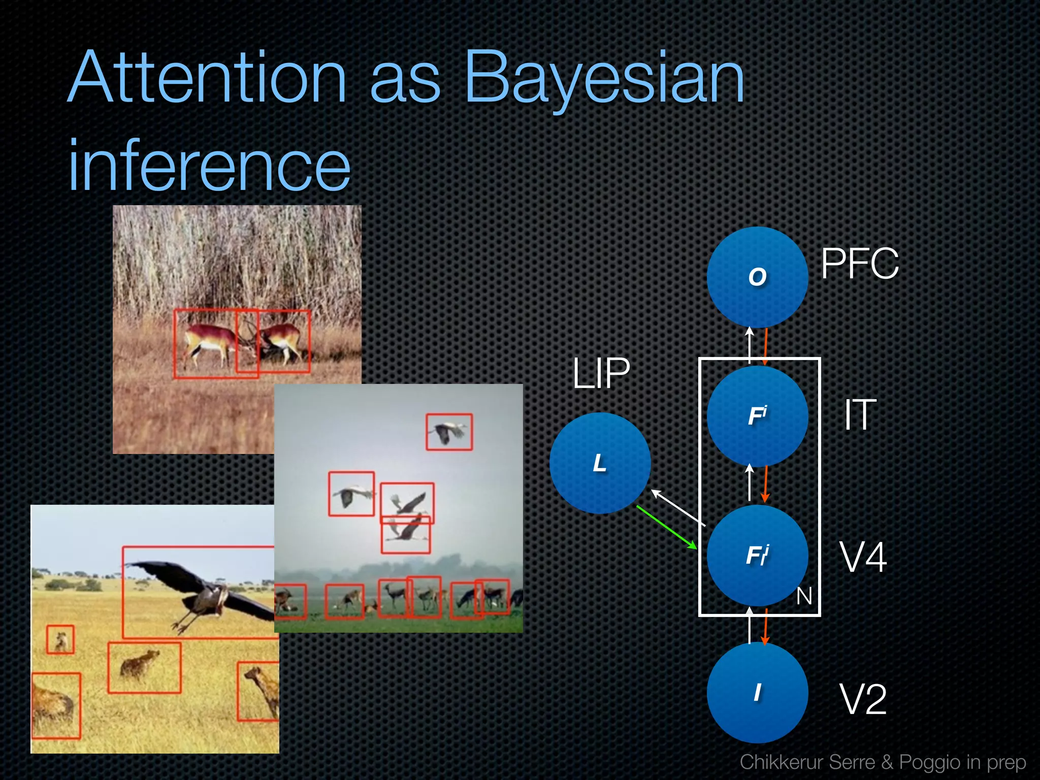 Mechanisms of bottom-up and top-down processing in visual perception