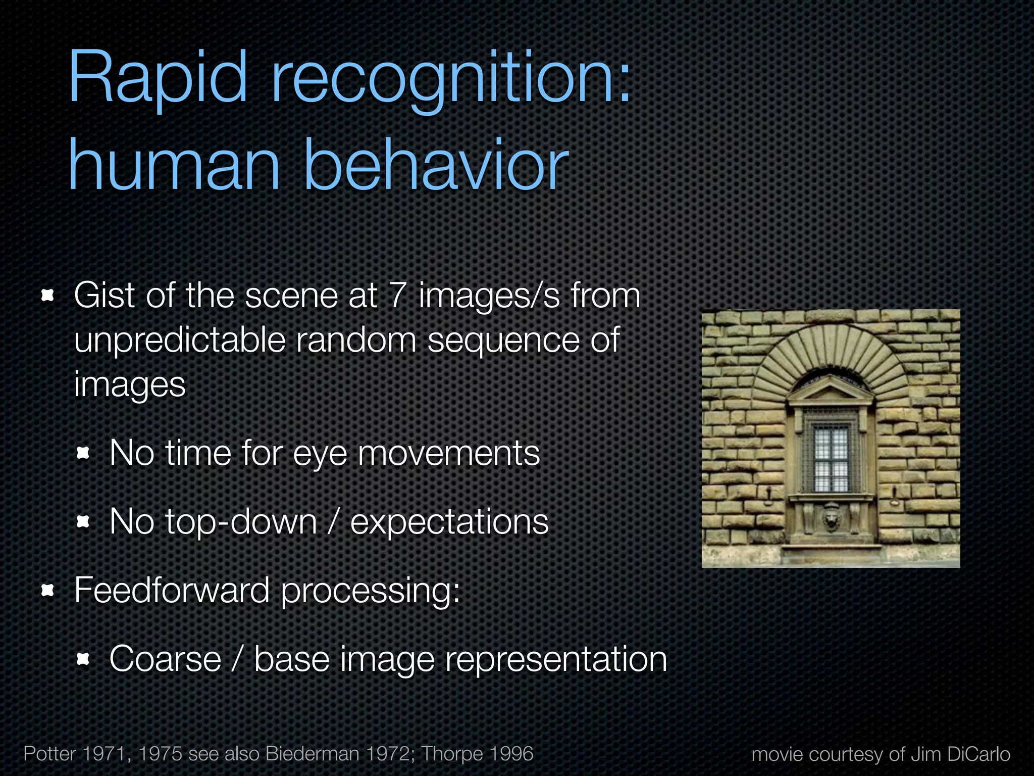 Mechanisms of bottom-up and top-down processing in visual perception