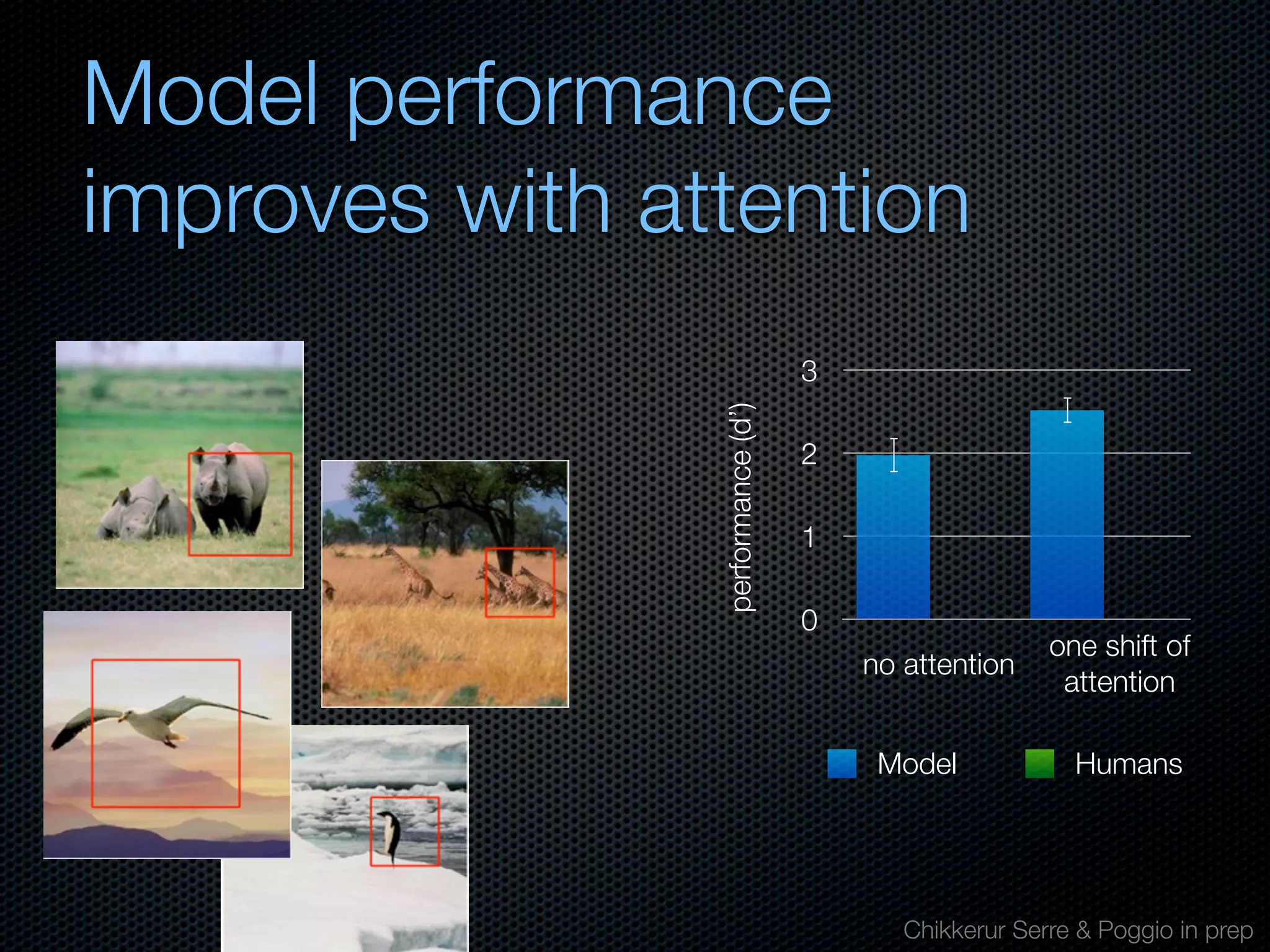 Mechanisms of bottom-up and top-down processing in visual perception