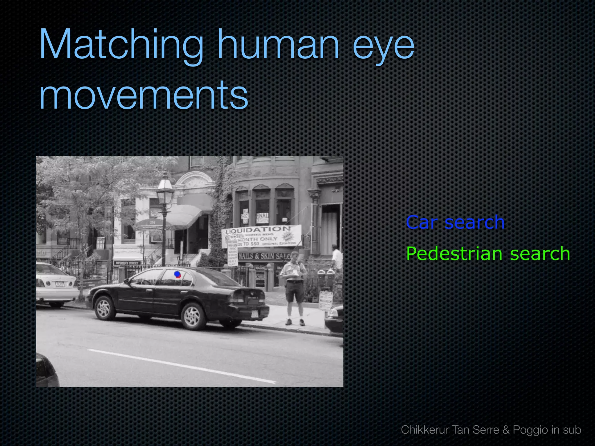 Mechanisms of bottom-up and top-down processing in visual perception