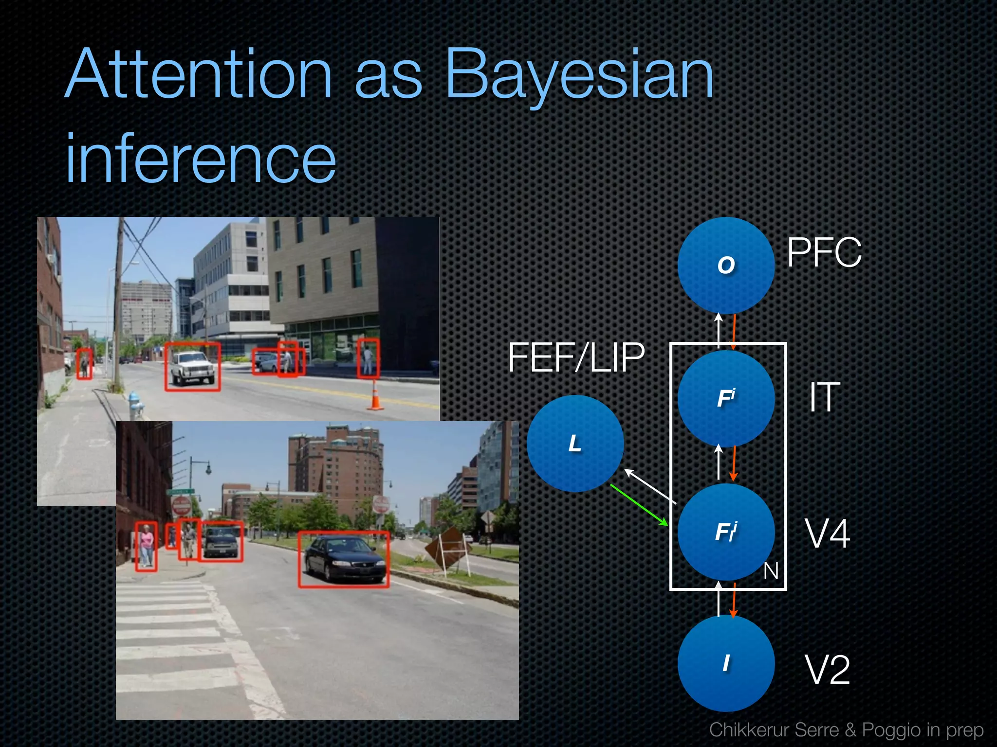 Mechanisms of bottom-up and top-down processing in visual perception