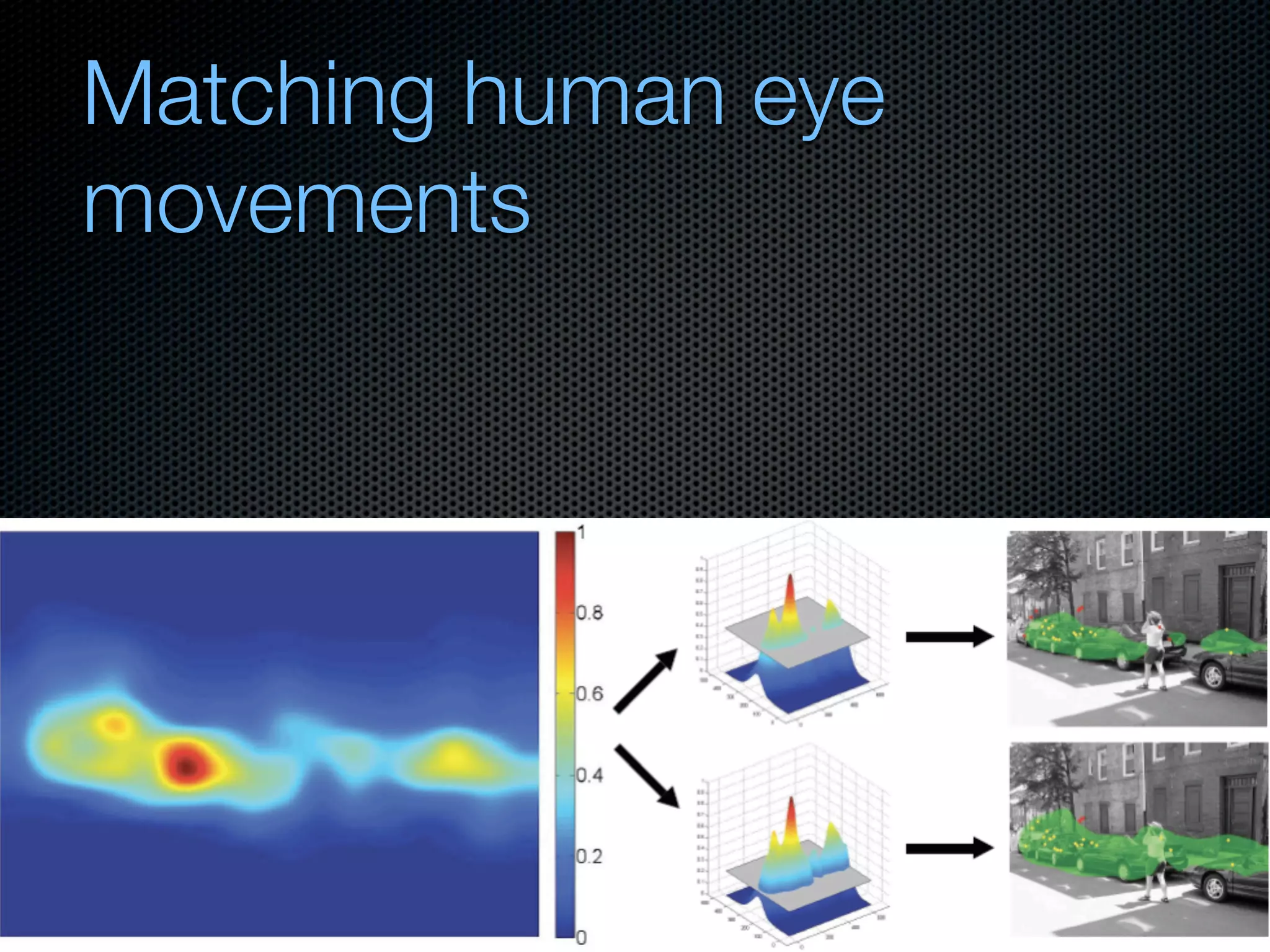 Mechanisms of bottom-up and top-down processing in visual perception