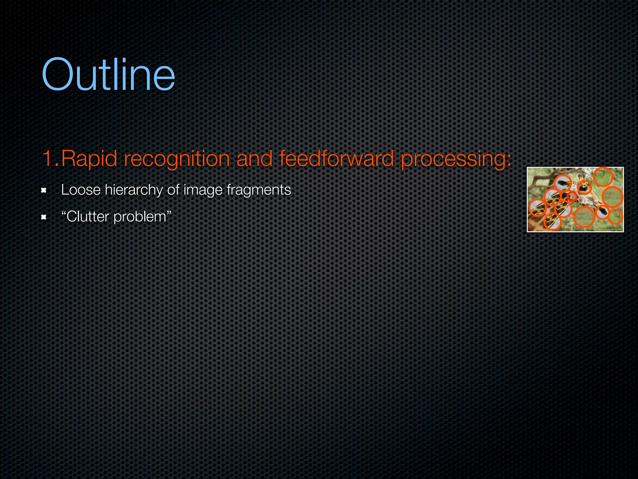 Mechanisms of bottom-up and top-down processing in visual perception