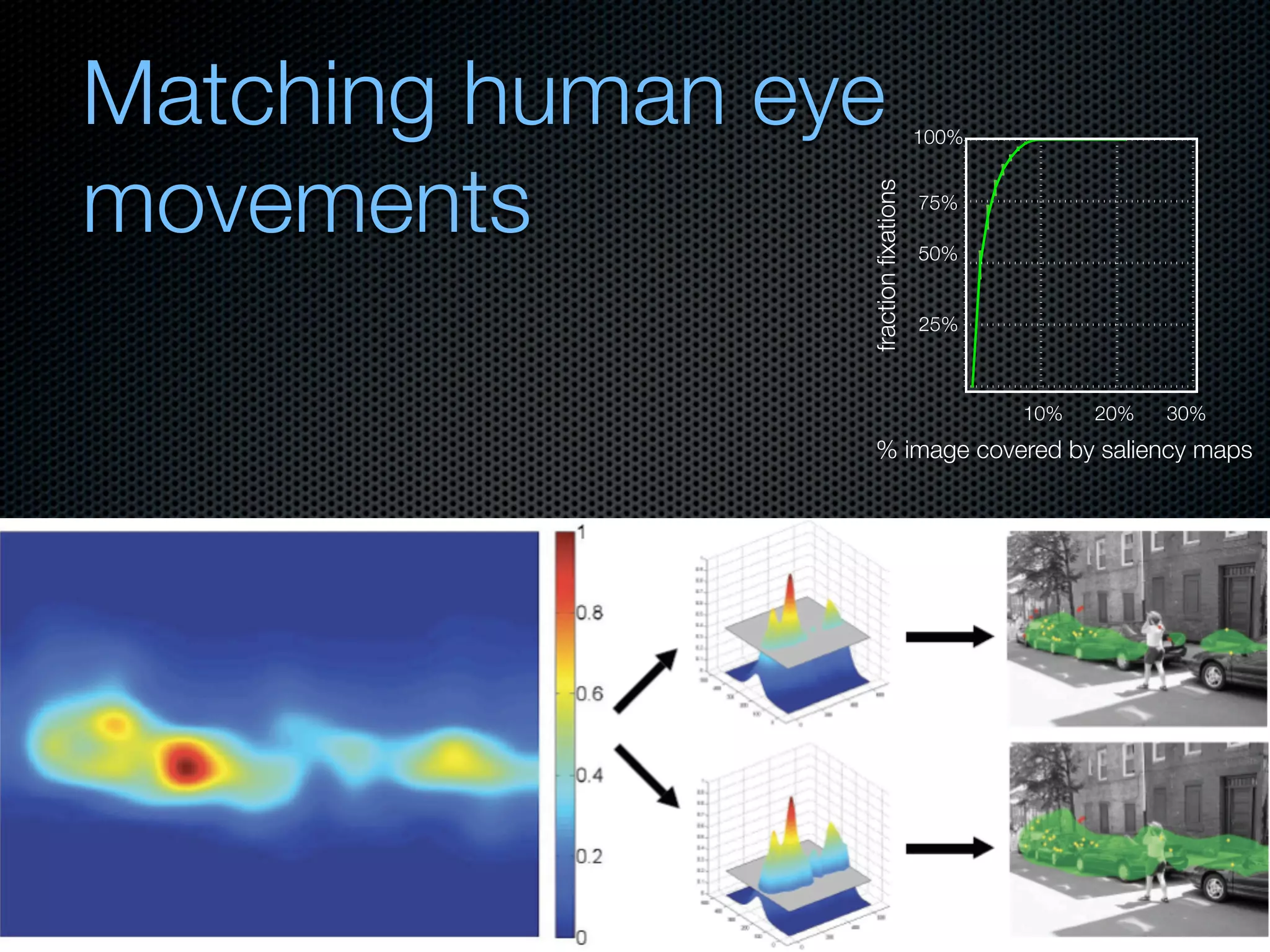 Mechanisms of bottom-up and top-down processing in visual perception