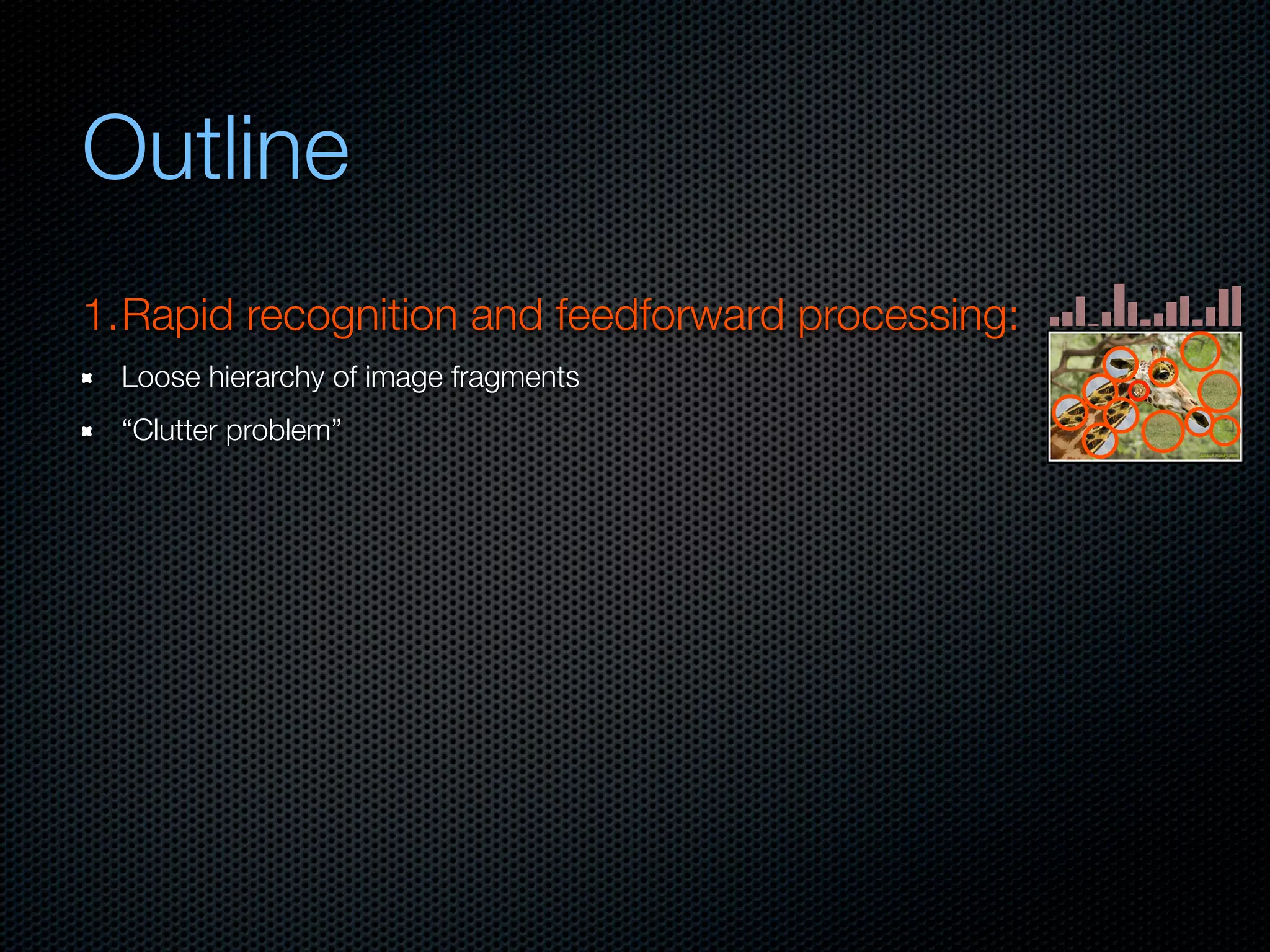 Mechanisms of bottom-up and top-down processing in visual perception