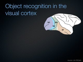 Mechanisms of bottom-up and top-down processing in visual perception