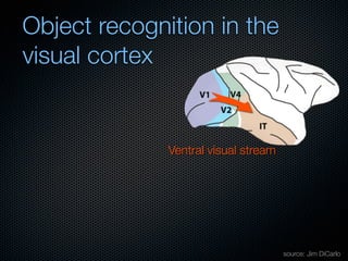 Mechanisms of bottom-up and top-down processing in visual perception