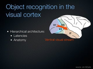 Mechanisms of bottom-up and top-down processing in visual perception