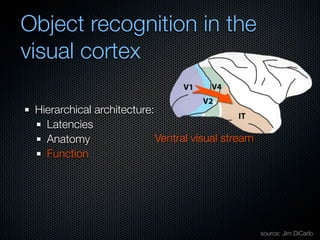 Mechanisms of bottom-up and top-down processing in visual perception