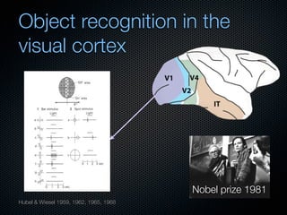 Mechanisms of bottom-up and top-down processing in visual perception