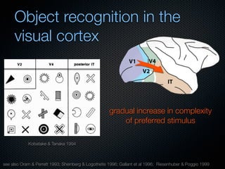 Mechanisms of bottom-up and top-down processing in visual perception