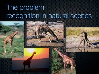 Mechanisms of bottom-up and top-down processing in visual perception