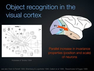 Mechanisms of bottom-up and top-down processing in visual perception