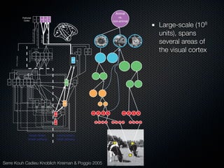 Mechanisms of bottom-up and top-down processing in visual perception