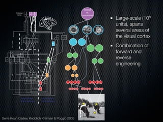 Mechanisms of bottom-up and top-down processing in visual perception