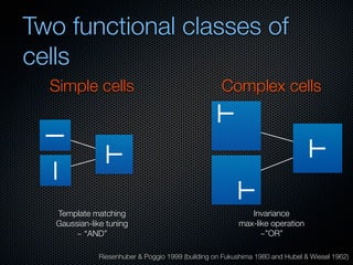 Mechanisms of bottom-up and top-down processing in visual perception