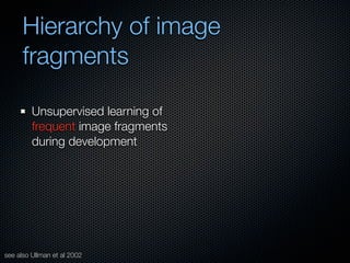 Mechanisms of bottom-up and top-down processing in visual perception