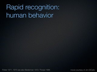 Mechanisms of bottom-up and top-down processing in visual perception