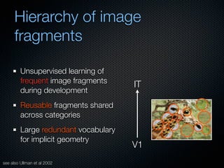Mechanisms of bottom-up and top-down processing in visual perception