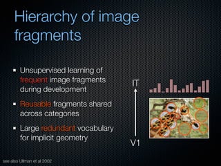 Mechanisms of bottom-up and top-down processing in visual perception