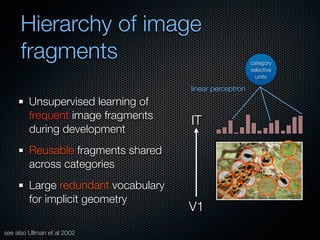 Mechanisms of bottom-up and top-down processing in visual perception