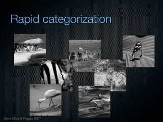 Mechanisms of bottom-up and top-down processing in visual perception