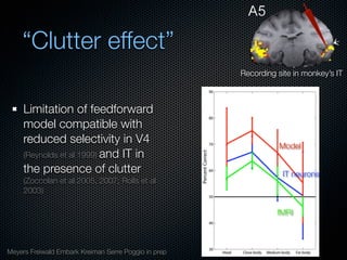 Mechanisms of bottom-up and top-down processing in visual perception