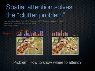 Mechanisms of bottom-up and top-down processing in visual perception