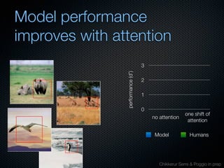Mechanisms of bottom-up and top-down processing in visual perception
