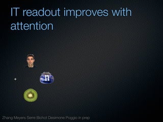 Mechanisms of bottom-up and top-down processing in visual perception