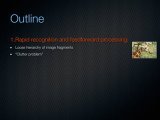 Mechanisms of bottom-up and top-down processing in visual perception