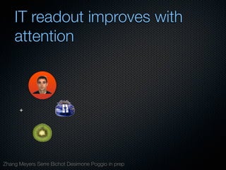Mechanisms of bottom-up and top-down processing in visual perception